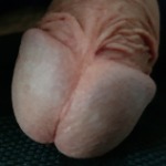 andreaviareggio@tiscali.it