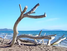 Spiaggia di Marina di Alberese, Parco dell’Uccellina