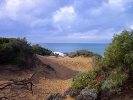 Spiaggia di San Vincenzo, Parco di Rimigliano
