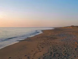 Spiaggia Oasi di Bolgheri, Marina di Bibbona
