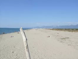 Spiaggia di Lecciona, Torre del Lago