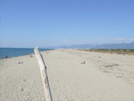 Spiaggia di Lecciona, Torre del Lago