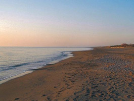 Spiaggia Oasi di Bolgheri, Marina di Bibbona