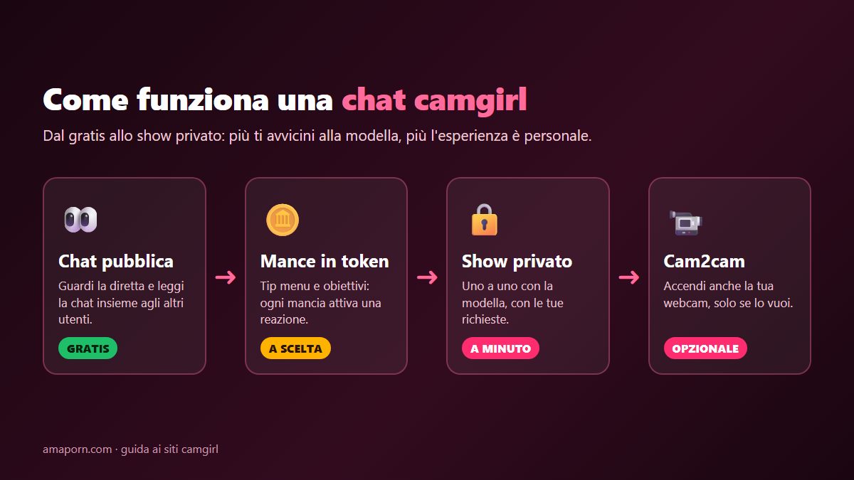 Come funziona una chat camgirl: chat pubblica gratuita, mance, show privato e cam2cam