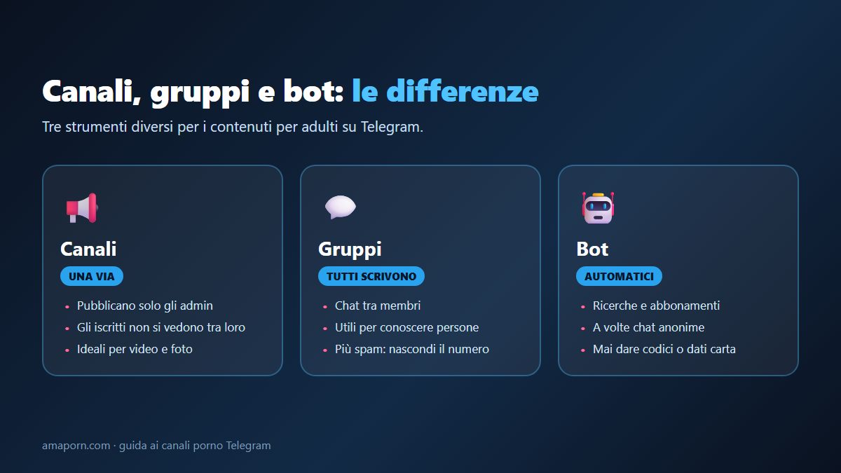 Differenze tra canali, gruppi e bot Telegram per adulti