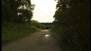 Anteprima del video: Video porno - sesso a tre con troiona latina