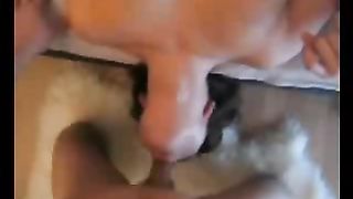 Coppia tedesca pompino amatoriale mattutino