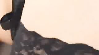 Video porno - troietta asiatica fa sesso in hotel