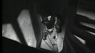 Video porno - Shyla Stylez