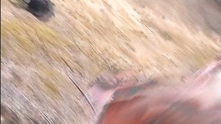 Bollente figa fradicia di umori