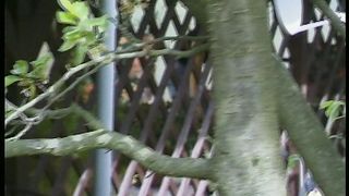 Anteprima del video: Chiavata in pubblico