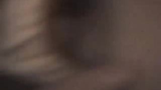 Calda passera leccata