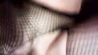 Troia italiana inculata