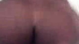 Puttana mulatta brasiliana