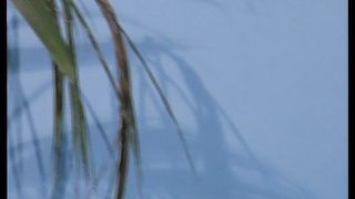 Anteprima del video: Maialina bionda