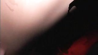 Accompagnatrici di lusso