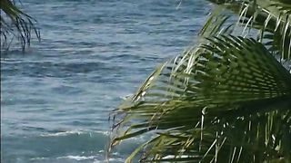 Anteprima del video: Cinese porca