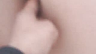 Troia italo americana