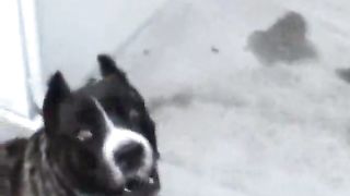 Arrapata girl bionda