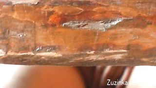 Brunetta porca inculata hard