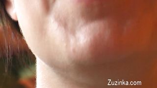 Brunetta porca inculata hard