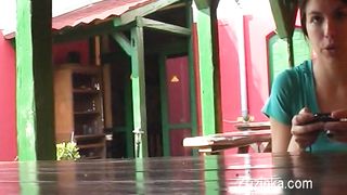 Brunetta porca inculata hard