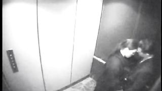 Fellatio amatoriale in ascensore