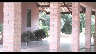 Fregna asiatica creampied