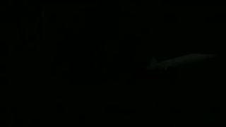 Porno cuckold amatoriale olandese