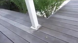 Public Camping Shower Sex