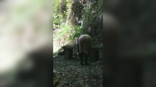 Ma quanto mi piace la campagna!