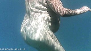 Il corpo nudo di Agata visto con telecamera subacquea