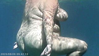 Anteprima del video: Il corpo nudo di Agata visto con telecamera subacquea