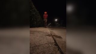 Pamela trav cammina per strada