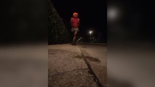 Pamela trav cammina per strada