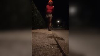 Pamela trav cammina per strada