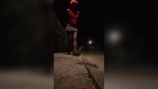 Pamela trav cammina per strada