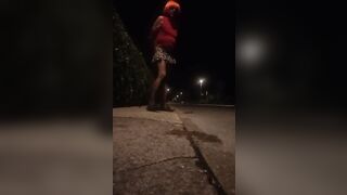 Pamela trav cammina per strada