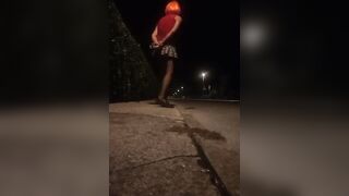 Pamela trav cammina per strada