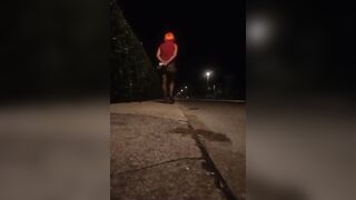 Pamela trav cammina per strada