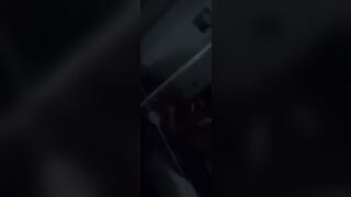 Cagna scopata da due amici