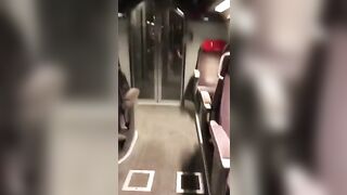 Il controllore becca i turisti che scopano sul treno