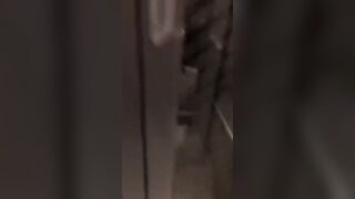 Il controllore becca i turisti che scopano sul treno