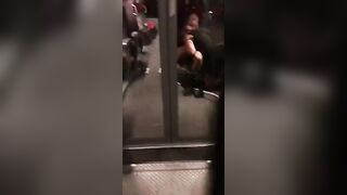 Il controllore becca i turisti che scopano sul treno