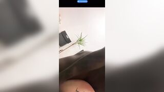 Fidanzata bionda scopata forte dal nero in Sicilia