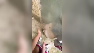 Sesso ai giardini pubblici con la zoccola della Conad