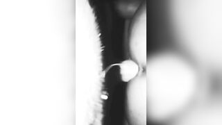 La Mia troietta brasiliana