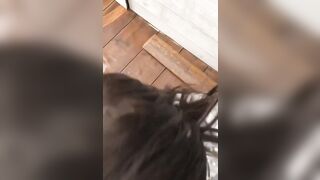 NAPOLETANA LO SPOMPINA IN RIVIERA