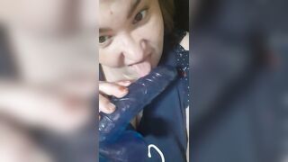 אוקראינע האָן זויגער