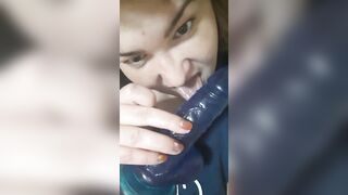 אוקראינע האָן זויגער